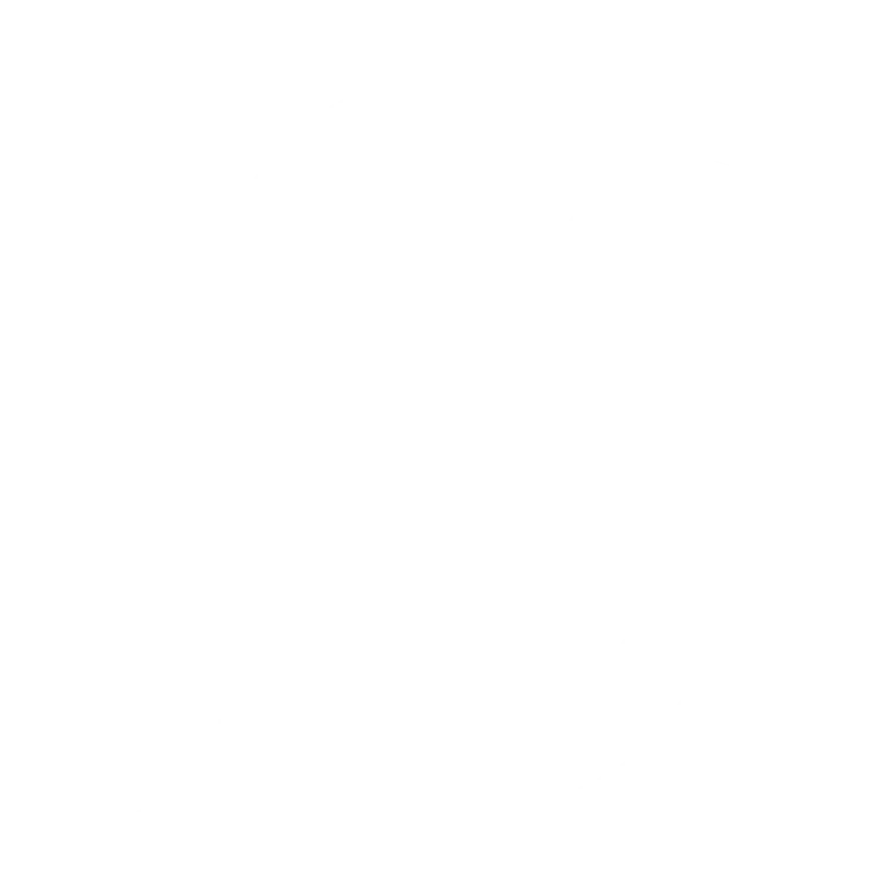 logo of digital services agency Ascender Solutions specialized in personalized service and business problems solutions